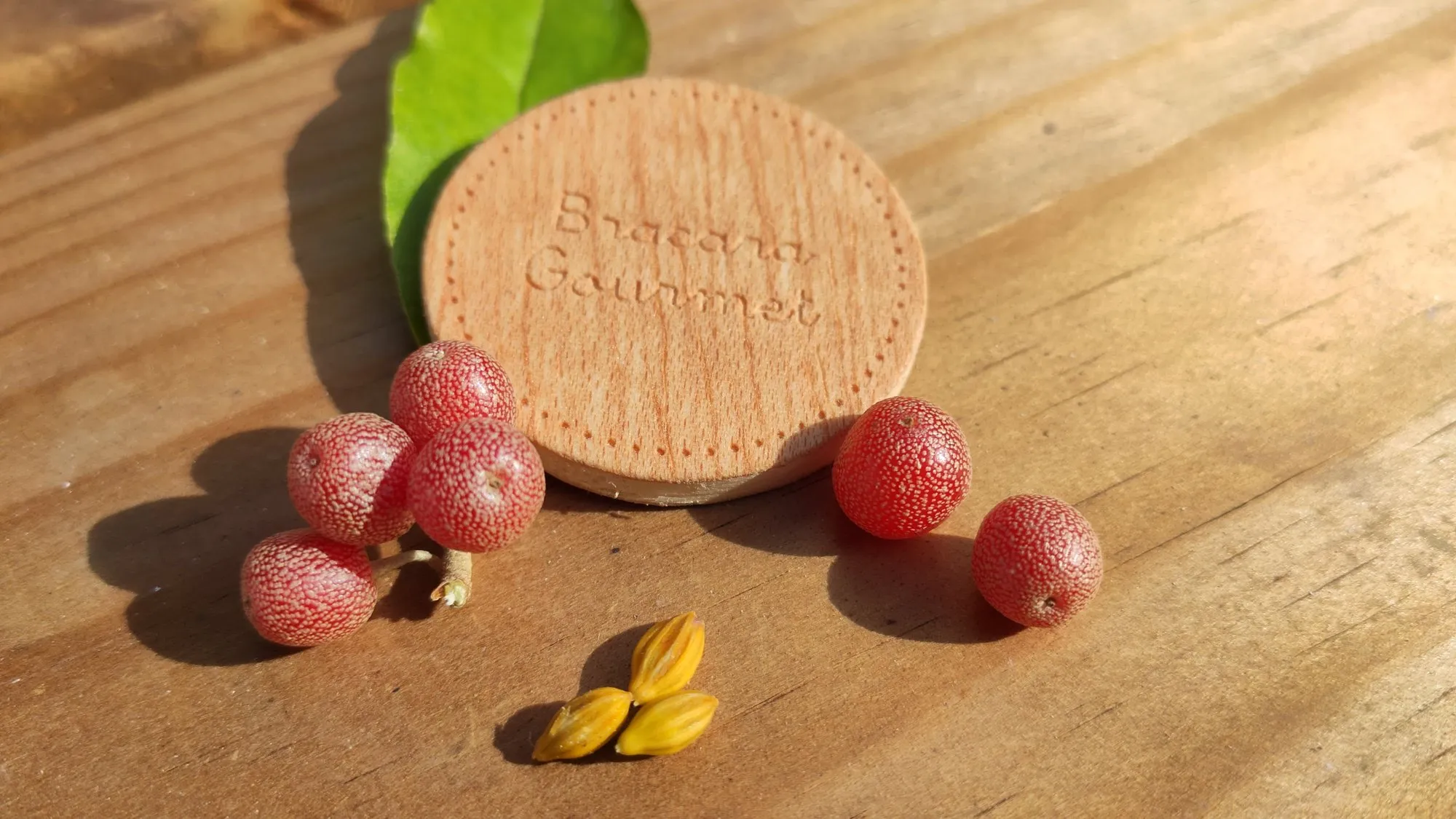 Bagas e folhas com o disco Bracara Gourmet.