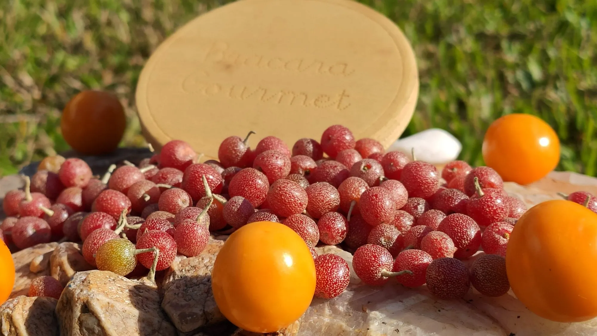 Silverberry e physalis.