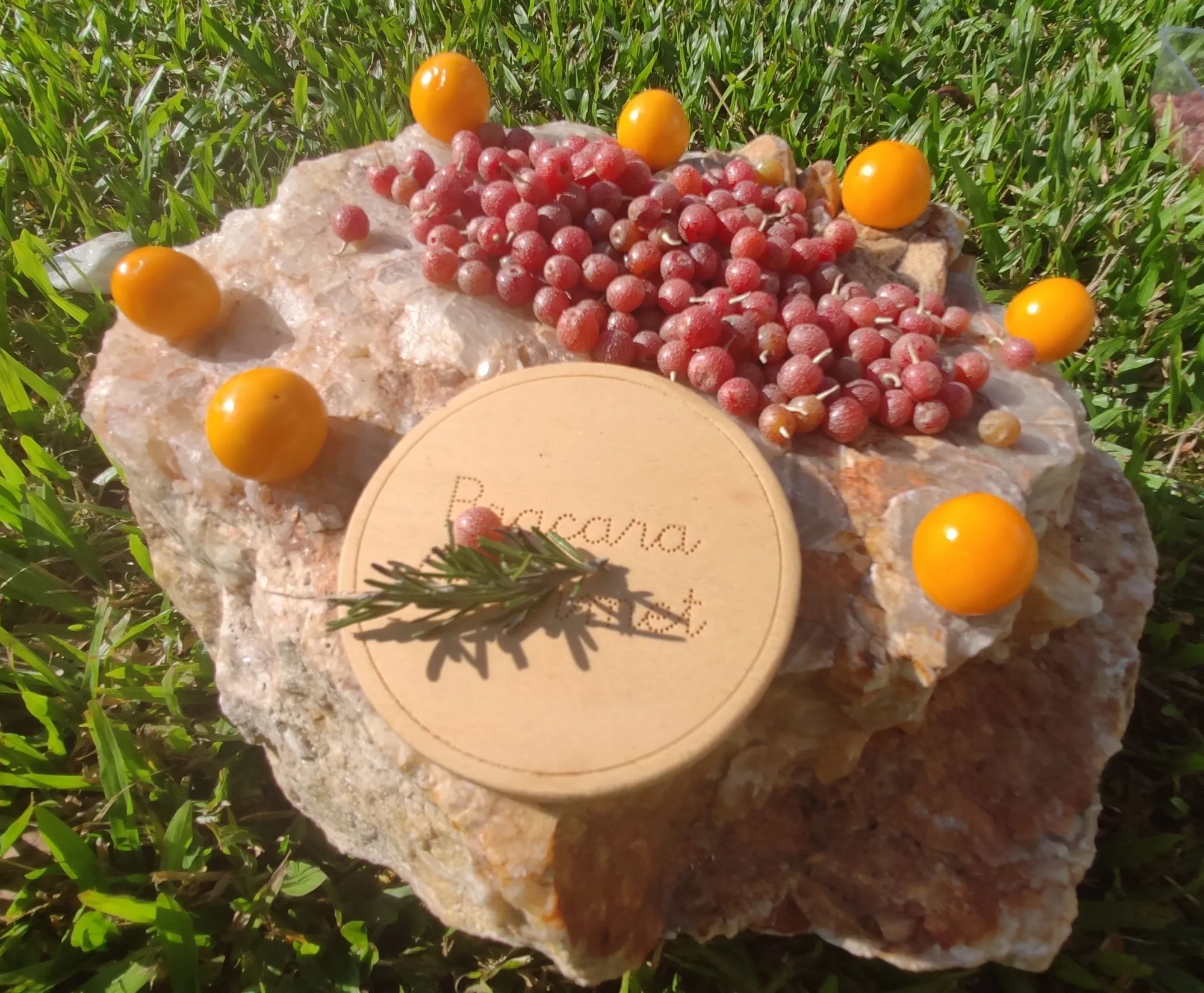 Silverberry, physalis e alecrim, com o disco Bracara Gourmet.