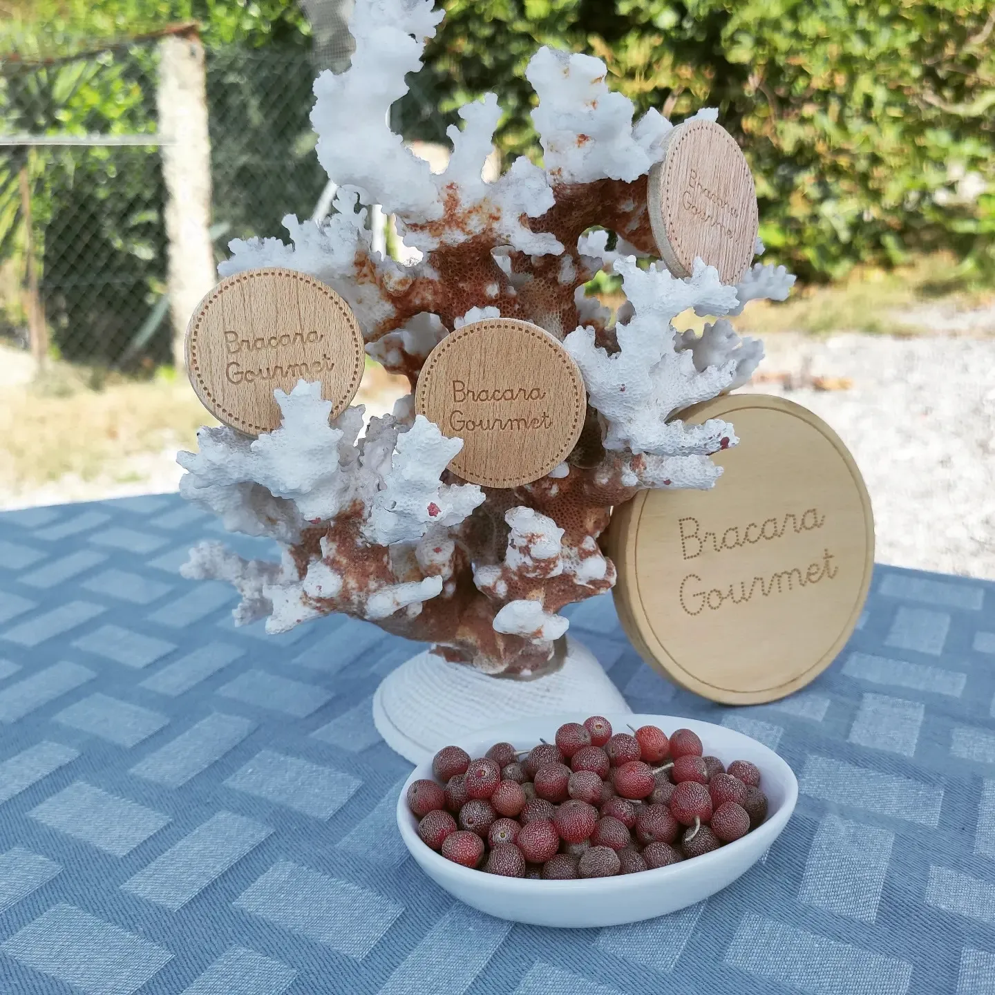 Bagas de silverberry e discos de madeira Bracara Gourmet numa apresentação
