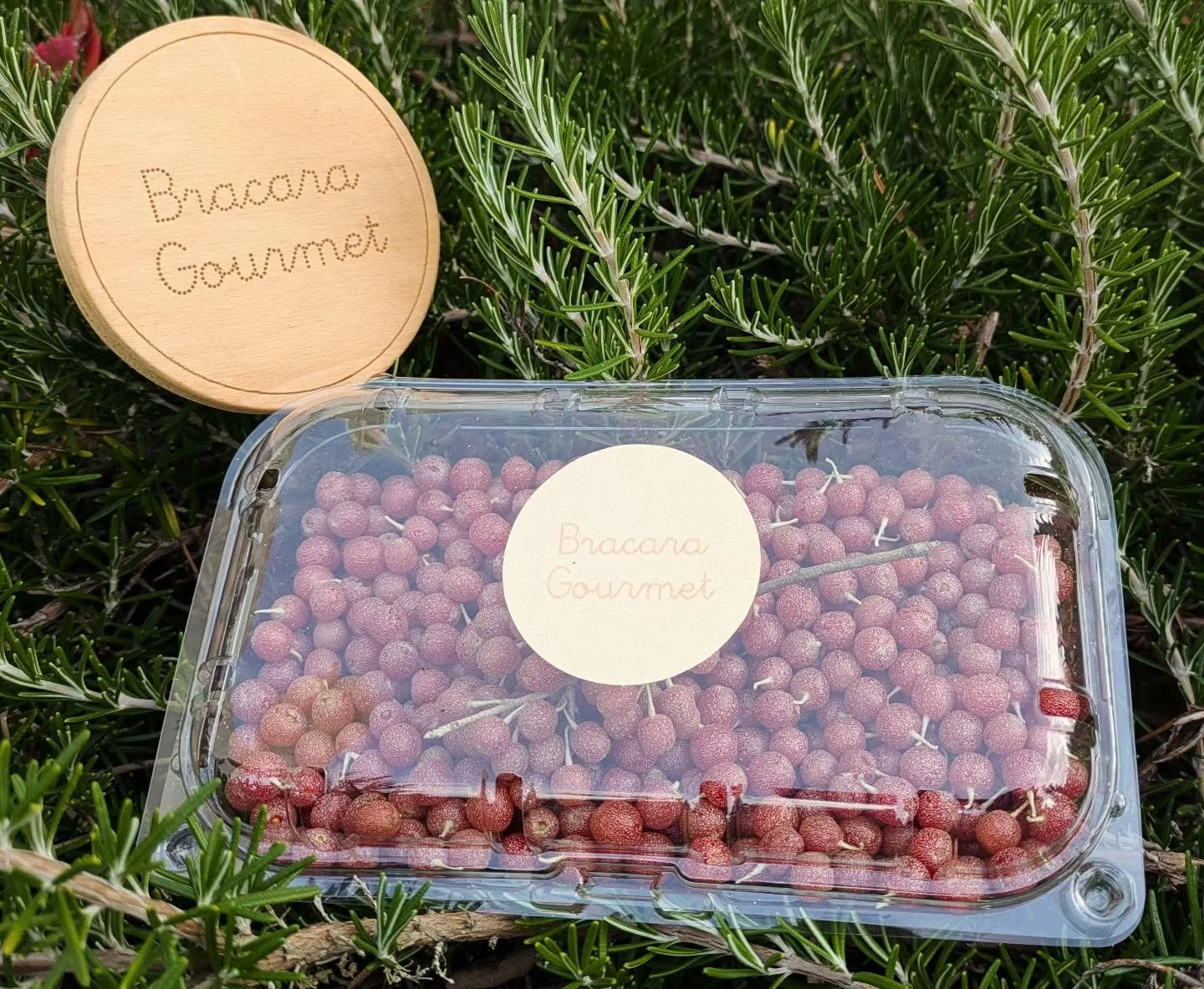 Embalagem Silverberry Box Bracara Gourmet com bagas frescas