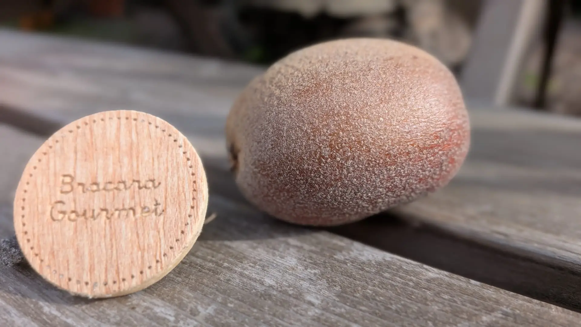 Kiwi gold ao lado do disco Bracara Gourmet