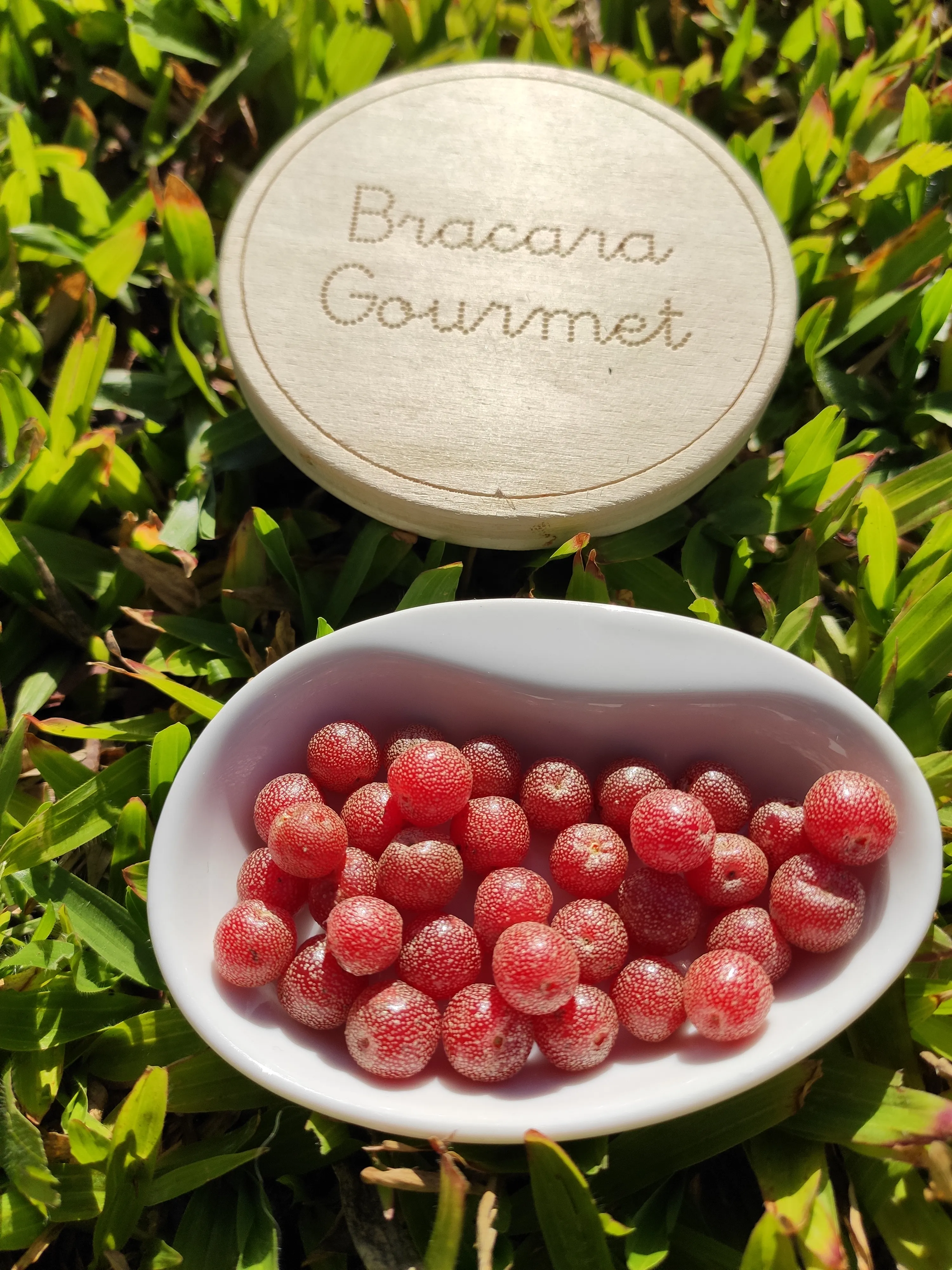 Taça com bagas de silverberry colhidas no pomar Bracara Gourmet